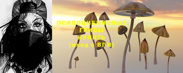 мескалин Аркадак