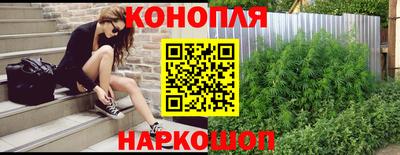 сатива Краснодар
