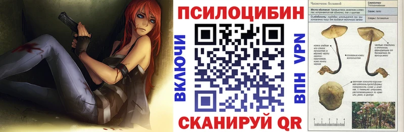 где купить   KRAKEN вход  Псилоцибиновые грибы MAGIC MUSHROOMS  Коломна 