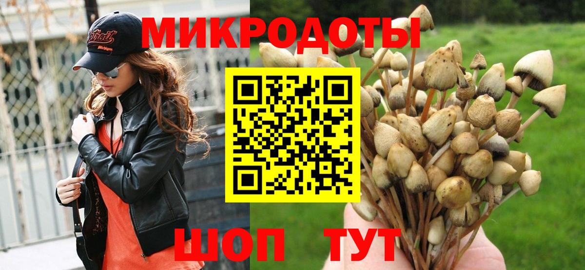 Галлюциногенные грибы Psilocybine cubensis Коломна
